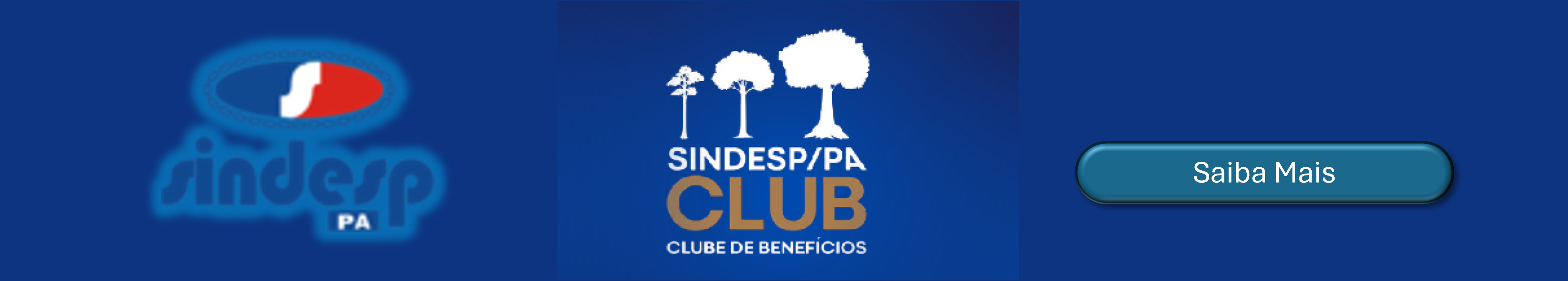 SINDESP/PA - CLUB DE BENEFÍCIOS - PARCERIAS